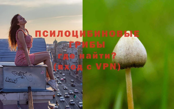 прущий лед Белоозёрский